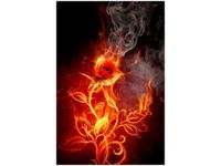 40X60CM OGNISTA RÓŻA OBRAZ