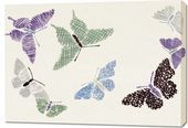 Obraz 100x70cm Butterfly 12, Sekka Japoński Vintage do Salonu