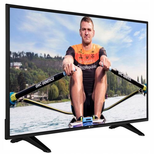 Telewizor LED 24'' HD Ready USB HDMI DVB-T2 CI na Arena.pl