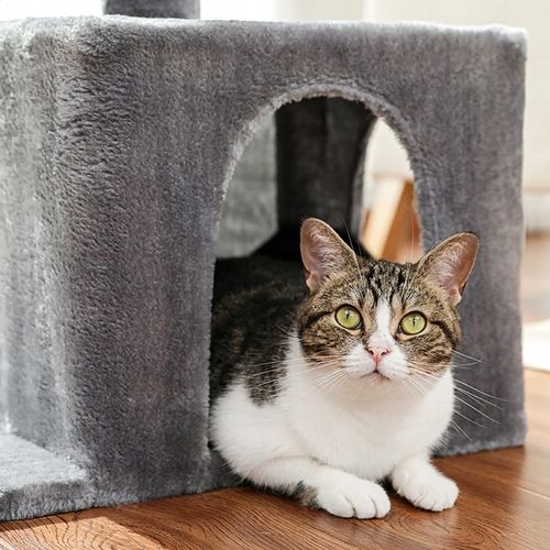 DRAPAK DLA KOTA Z HAMAKIEM DRAPAK LEGOWISKO DOMEK WIEŻA WYSOKA 70 cm na Arena.pl