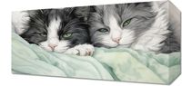 Obraz 40x20cm Dwie Zrelaksowane Kicie