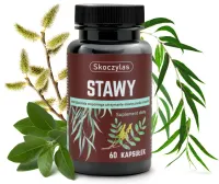 STAWY kadzidłowiec, wierzba, ashwagandha, sosna