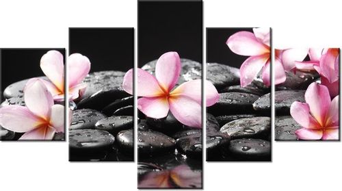 75CM 120 OBRAZ 5 ELEM SPA ŚCIENNY DRUK na Arena.pl