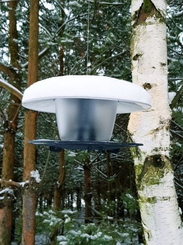 Karmnik okrągły dla ptaków Birdyfeed Budka Domek na zimę na Arena.pl