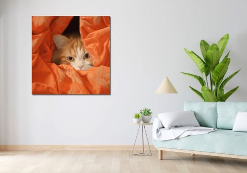 Obraz 100x100cm Ukryty Kot na Arena.pl