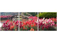 product-compare-58647863