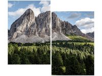 product-compare-58667145