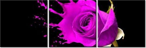 60 90CM OBRAZ 3 ELEM PLUSK ŚCIENNY DRUK PŁÓTNO na Arena.pl