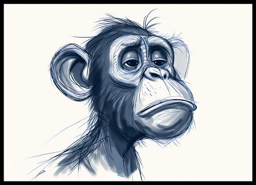 Plakat 70x50cm Zaduma na Arena.pl