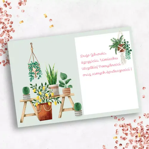 Karnet B6, Kwiaty Doniczkowe na Arena.pl