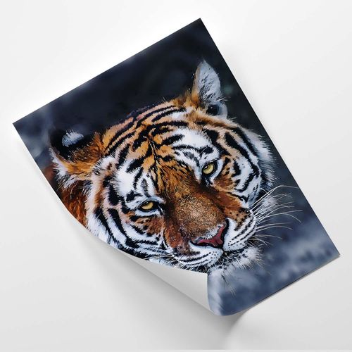 Plakat, Tygrys 40x60 na Arena.pl