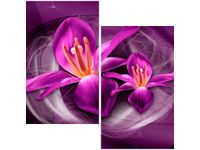 60X60CM RÓŻOWE KOSMICZNE KWIATY JAKUB BANAŚ DWU OBRAZ ŚCIAN