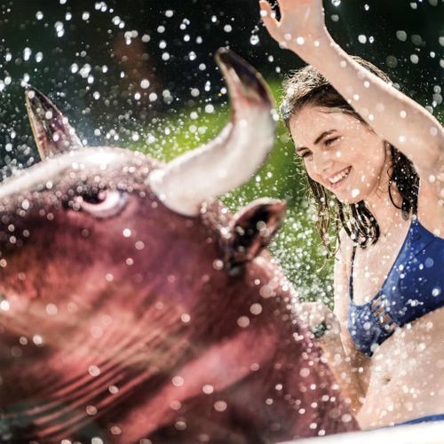Intex Materac Basenowy Inflatabull, 56280Eu na Arena.pl