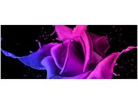 100X40CM RÓŻA FARB JAKUB BANAŚ OBRAZ DREWNO