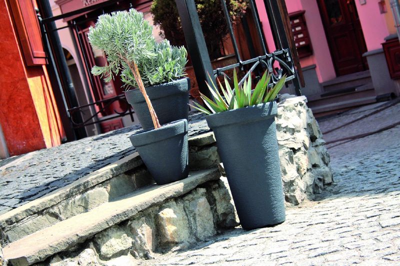 Doniczka okrągła Classic DBC30 | Terakota zdjęcie 2