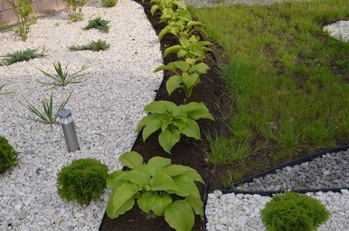 OBRZEŻE OGRODOWE TRAWNIKOWE 7,8cm PALISADA BORDER 78mm 20m + 100 KOTEW na Arena.pl