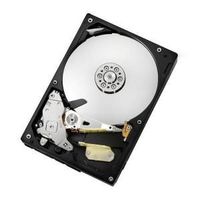 Hewlett Packard Enterprise 80GB Serial-ATA (SATA) 7200rpm