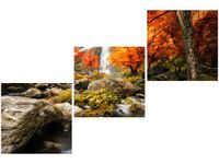 product-compare-58672784