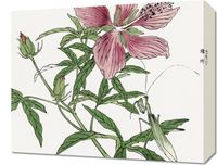 Obraz 50x40cm Kwiat Ilustracja Morimoto Toko Japoński Vintage do Salonu