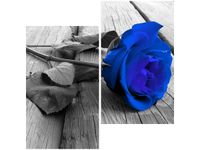 60X60CM CHABROWA RÓŻYCZKA DWU OBRAZ ŚCIAN