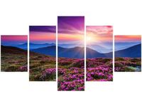 product-compare-58700940