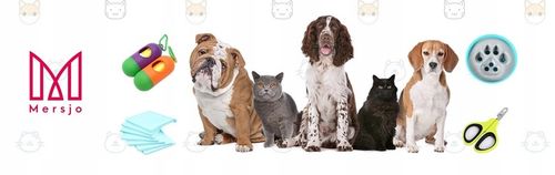 ZABAWKA DLA KOTA interaktywn KÓŁKO Z MYSZKĄ drapak na Arena.pl