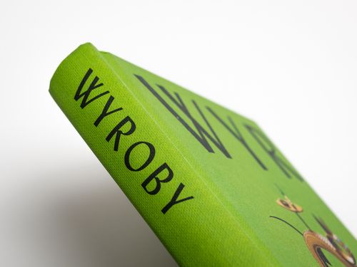 Wyroby. Pomysłowość wokół nas na Arena.pl