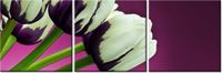 70 90CM OBRAZ 3 ELEM FIOLETOWE TULIPANY ŚCIENNY DRUK PŁÓTNO