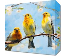 product-compare-59480393