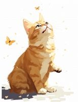 product-compare-59375648