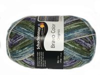 Włóczka Schachenmayr Bravo Color (02122)