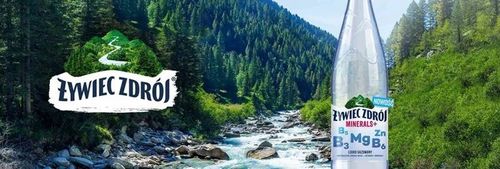 Żywiec Zdrój Minerals+ Napój lekko gazowany ZESTAW 12 x 1,2 l na Arena.pl