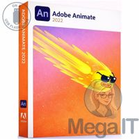 Animate 2022 - Licencja Wieczysta (LifeTime) - Windows - Użytkownik Indywidualny - BOX (USB)