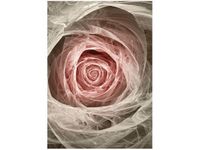 OBRAZ DRUK RÓŻA KTALNA JASNY RÓŻ