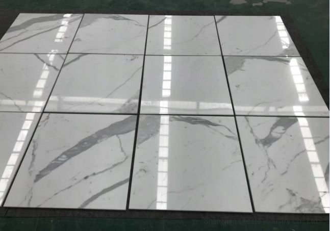 GRES polerowany 60X60 biały MARMUR POŁYSK g.II zdjęcie 1