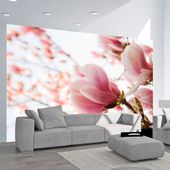 Fototapeta - Różowa magnolia 350x270
