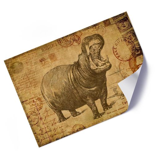 Plakat, Hipopotam 70x50 na Arena.pl