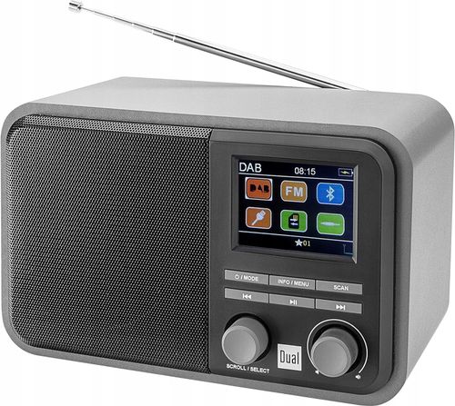 Radio sieciowe DAB+, FM Dual DAB 51 na Arena.pl