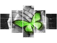 OBRAZ GREEN BUTTERFLY MOTYL DŁOŃ CEGŁA