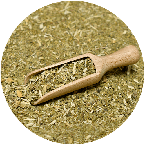 Guarani Ashwagandha Cactus 50 g na Arena.pl