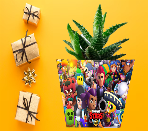 Doniczka do kwiatów - Brawl Stars na Arena.pl