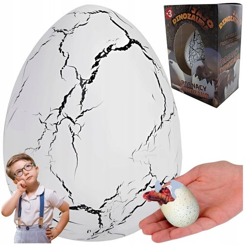 5x JAJO jajko dinozaura wykluwający rosnący DINOZAUR DUŻE NA PREZENT na Arena.pl