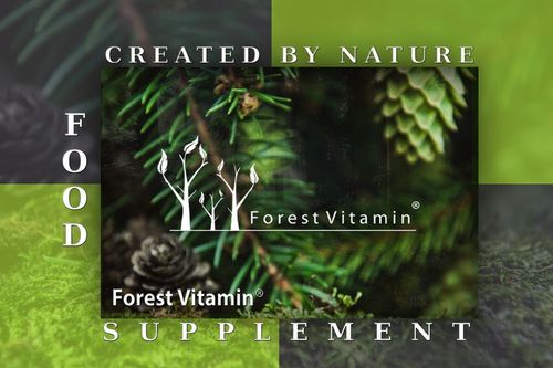 FOREST KWERCETYNA NATURALNY EKSTRAKT 400mg 100 kap na Arena.pl