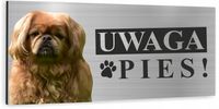 Tabliczka UWAGA ZŁY PIES - PEKIŃCZYK aluminiowa UV