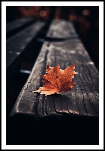 Plakat 61x91,5cm Pojedynczy Liść na Arena.pl