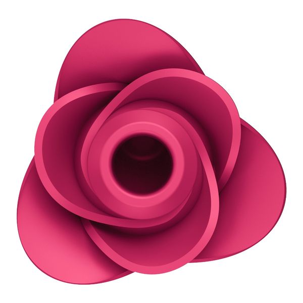 Satisfyer Pro 2 Modern Blossom zdjęcie 5