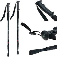 TG63153 KIJE NORDIC WALKING TREKKINGOWE KIJKI DO CHODZENIA