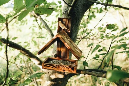 DREWNIANY karmnik dla PTAKÓW budka góralski POLSKI HIT DOMEK na Arena.pl