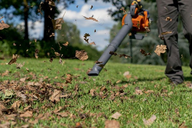 OLEO MAC BV 250 ODKURZACZ SPALINOWY OGRODOWY DMUCHAWA DO LIŚCI + ZESTAW DO ODKURZANIA KLASA PREMIUM 56609001E5Z EWIMAX-OFICJALNY DYSTRYBUTOR - AUTORYZOWANY DEALER OLEO-MAC zdjęcie 7