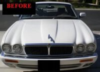 1995-2003 JAGUAR- LIstwy chrom grill chromowan